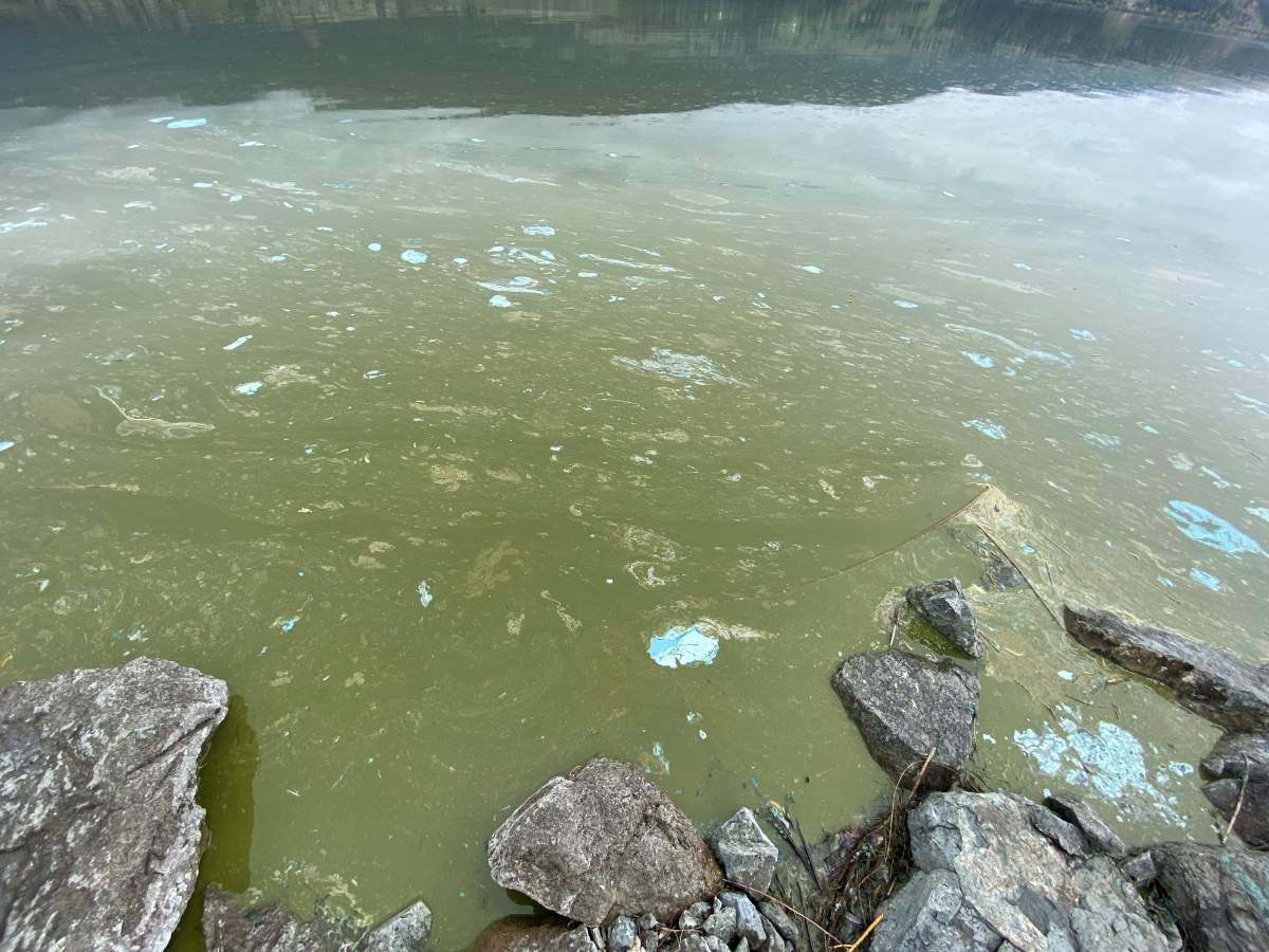 A file photo of an algae bloom that happened in Wood Lake in May 2021. Interior Health says blue-green algae or cyanobacteria can produce several types of toxins that can be poisonous to people, pets or livestock.