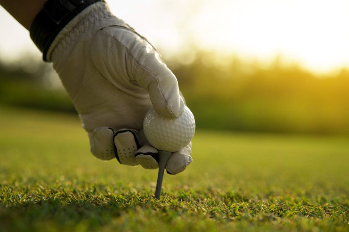 Police in N.S. have charged a woman with leaving two dogs in a hot car while she played a round of golf. 