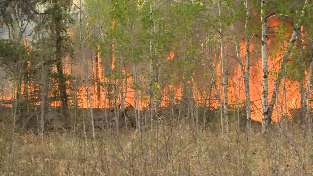 Officials with the Saskatchewan Public Safety Agency said it will be days before the Cloverdale wildfire by Prince Albert, Sask., can be contained.