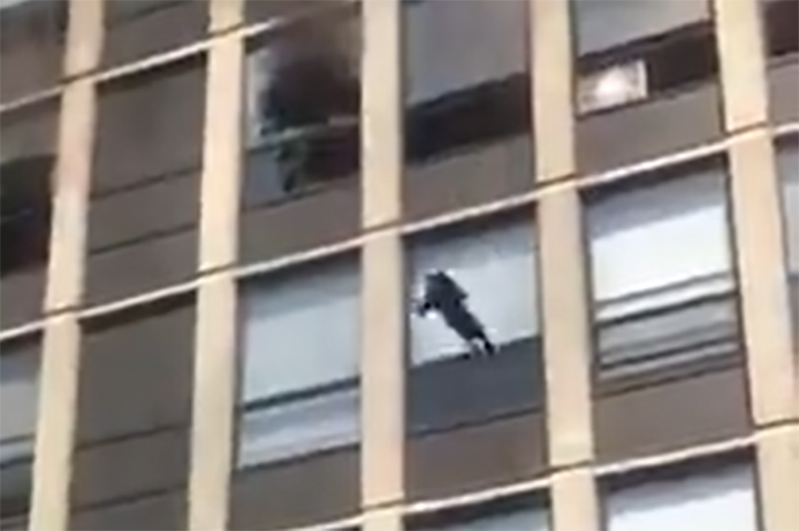 A cat falls after leaping from a fifth-floor window at an apartment building in Chicago on May 13, 2021.