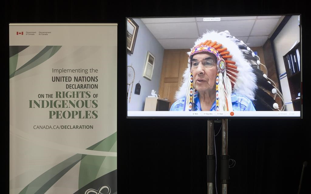 Grand Chief Wilton Littlechild speaks via video conference 
during an announcement about the United Nations Declaration on the Rights of Indigenous Peoples, in Ottawa, Thursday, Dec. 3, 2020.THE CANADIAN PRESS/Adrian Wyld.