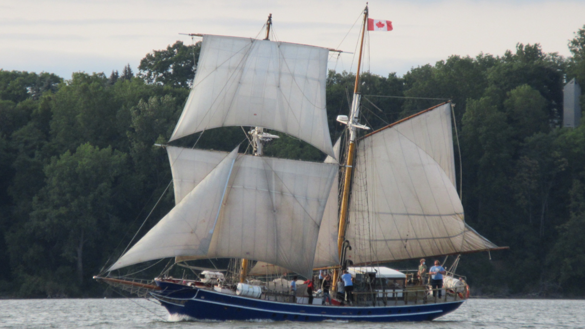 Hamilton to officially welcome sailing vessel TS Playfair - image