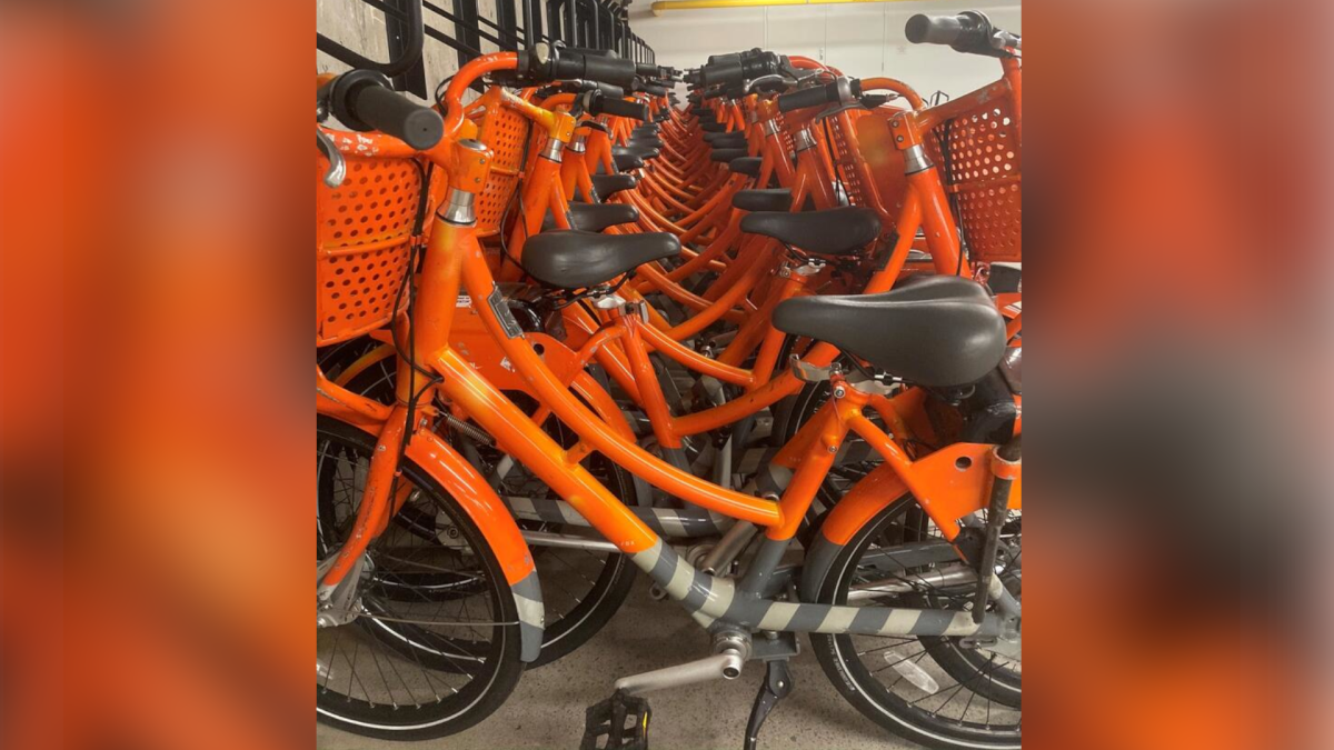 Hamilton set to receive over 600 donated bicycles from Portland, Ore. - image