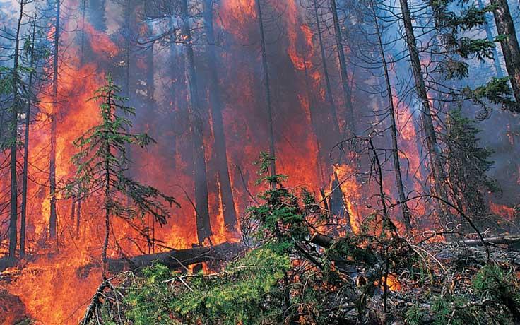 One of the many wildfires in Saskatchewan. 