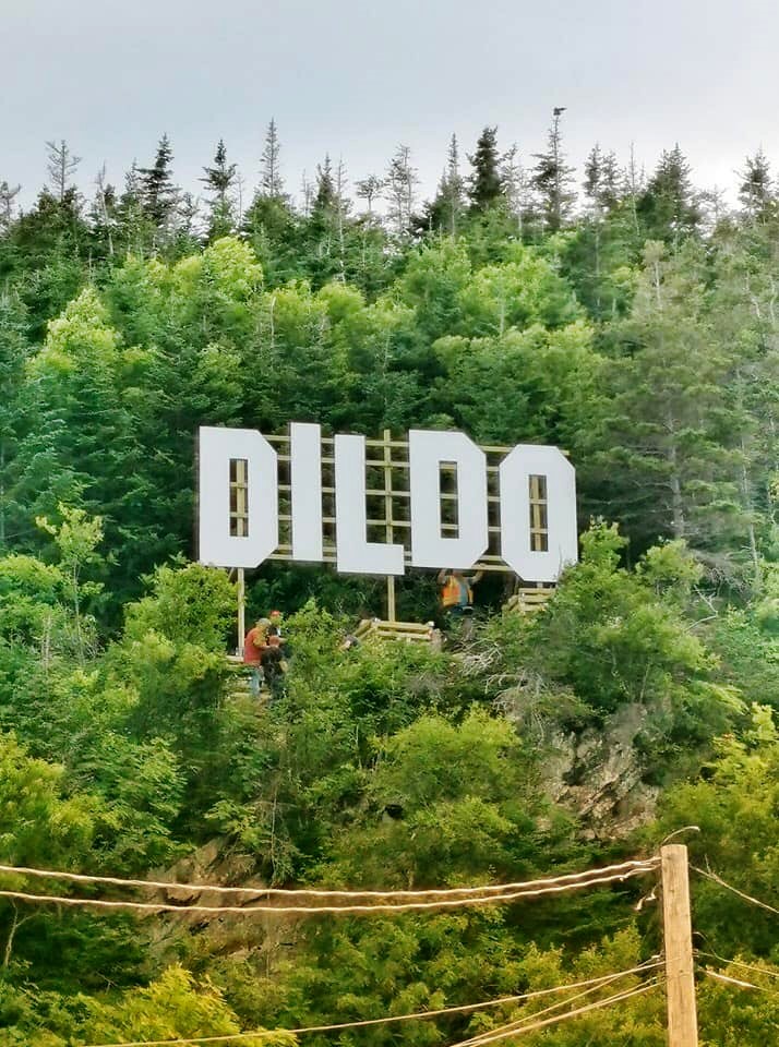 A Hollywood-like sign can be seen over the town of Dildo, Newfoundland in Canada in this undated handout photo provided August 19, 2019.