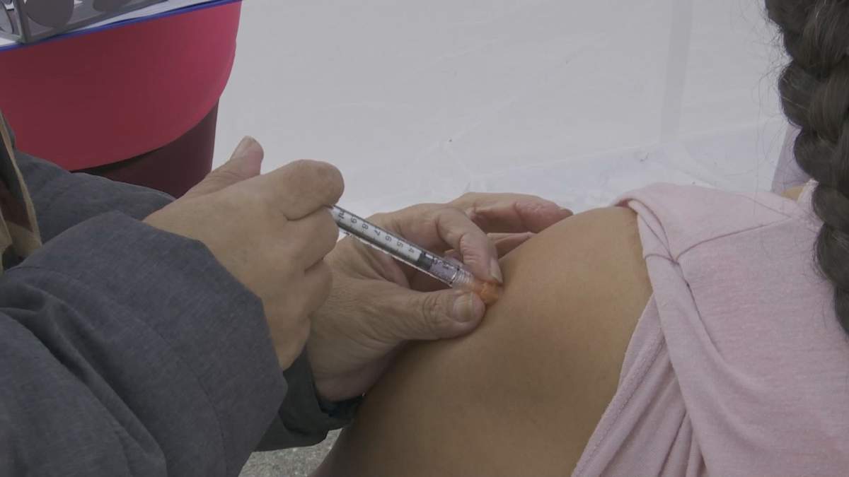 Vaccine needle