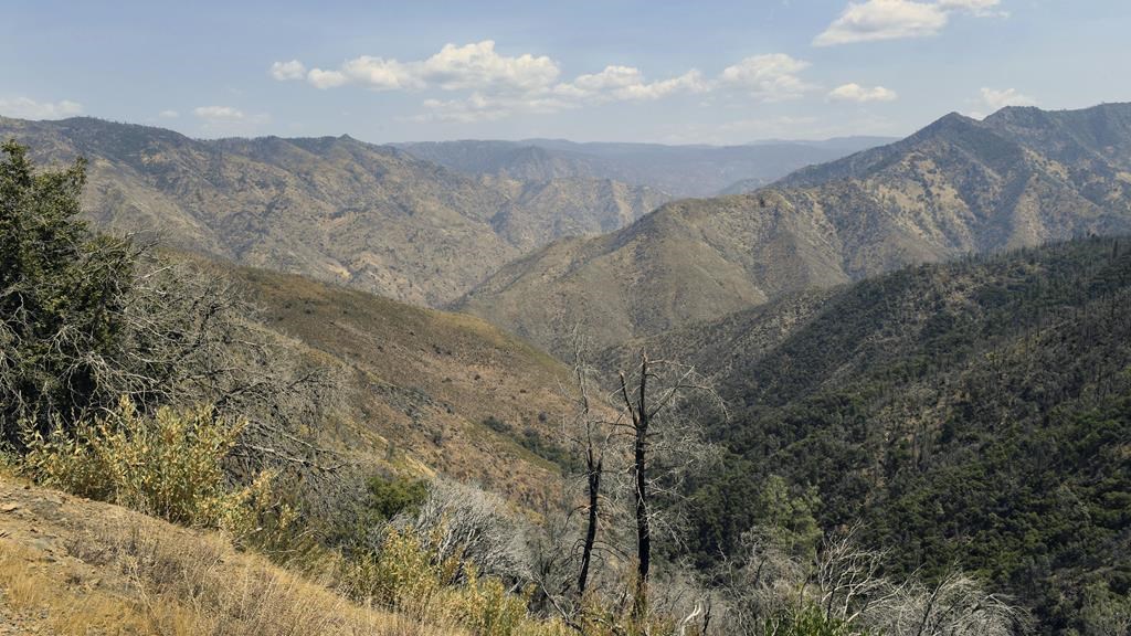 FILE – This Aug. 18, 2021, file photo shows a remote canyon area northeast of the town of Mariposa, Calif., that is reported to be the area where a family and their dog were found dead. Federal officials closed a portion of trails at a national park in Northern California where a family and their dog were found dead last month, citing unspecified safety concerns. John Gerrish, his wife, Ellen Chung, their 1-year-old daughter, Miju, and their dog were all found dead on Aug. 17, 2021, on a hiking trail near the national forest’s Hite’s Cove. (Craig Kohlruss/The Fresno Bee via AP, File)