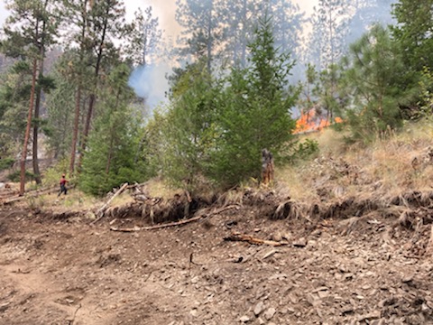 The White Rock Lake wildfire has been reclassified to being held. 