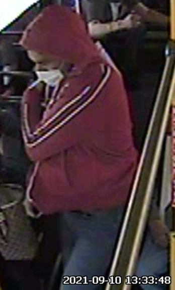 Photo of the suspect