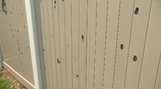 Laurin’s backyard fence almost took heavy hail damage.