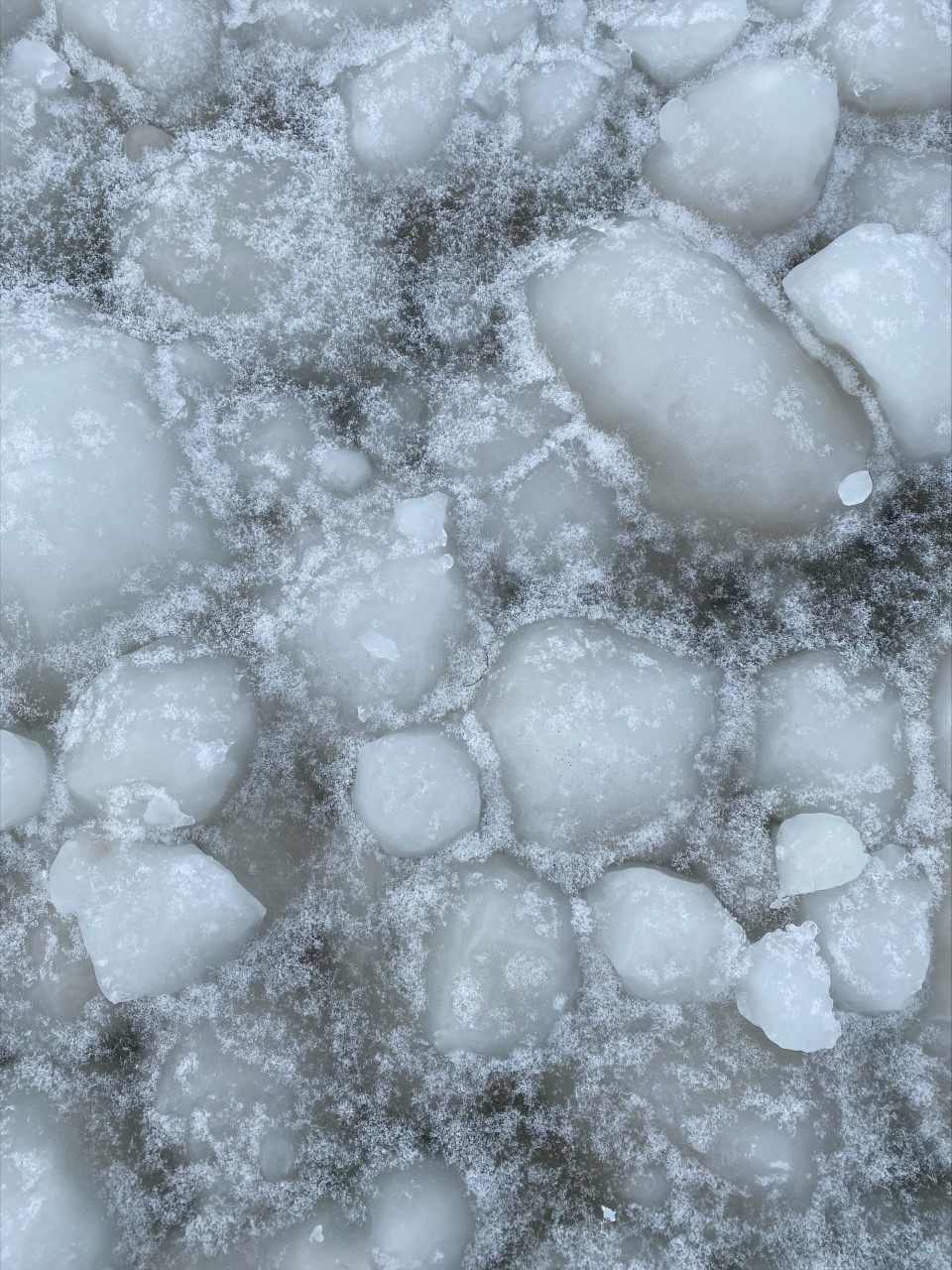 The strong winds and waves this past weekend likely rolled the frazil ice up into slushy orbs that eventually froze over, river ice expert Dr. Vincent McFarlane told Global News on Monday.