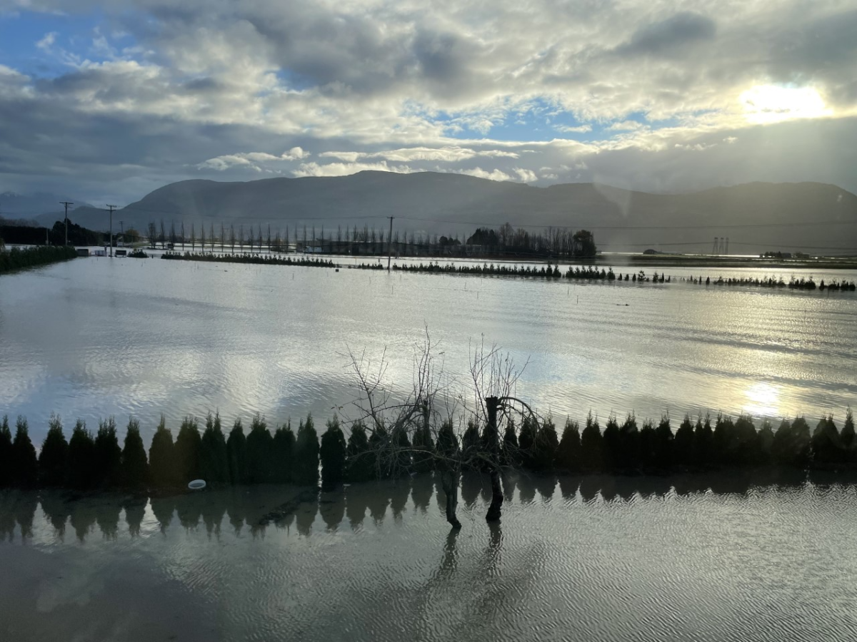 A look at a property in Abbotsford on the Sumas Prairie at North Parallel Road and No. 4 Road.