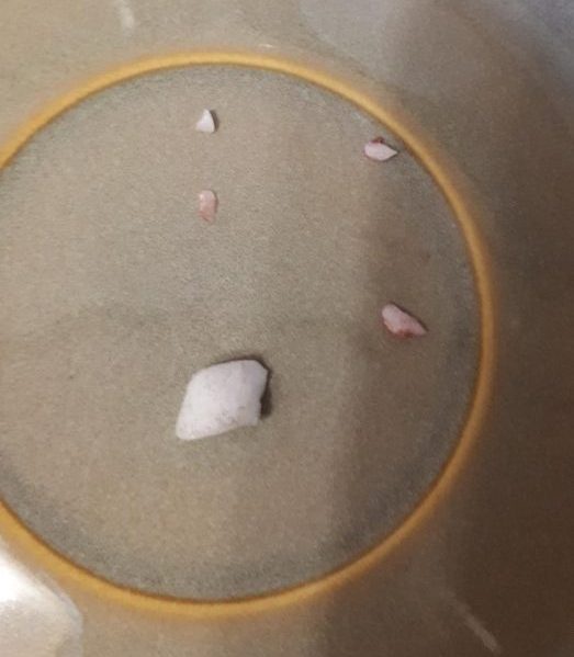 The Vandewater family told Global News they found several rock fragments in a smoothie made with President’s Choice-branded frozen fruit.