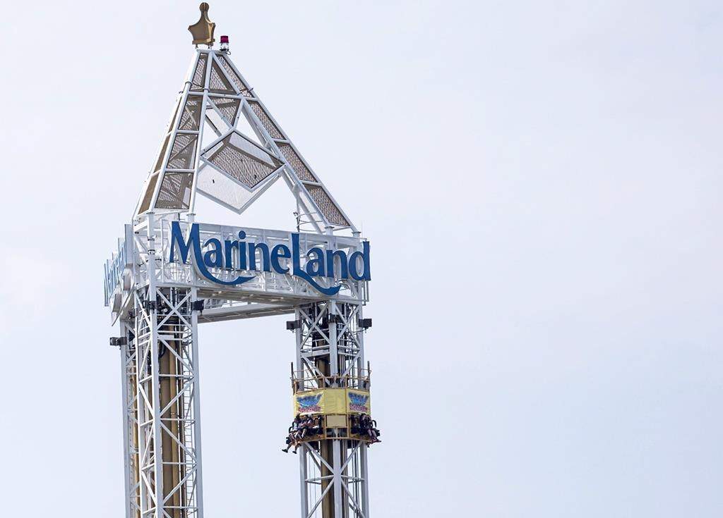 Niagara Regional Police (NRPS) are investigating an August 2021 Marineland display investigators believe may have violated the Ending the Captivity of Whales and Dolphins Act.