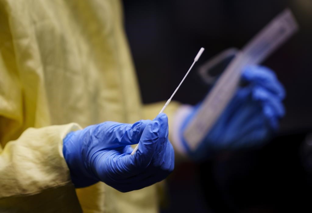 covid test swab