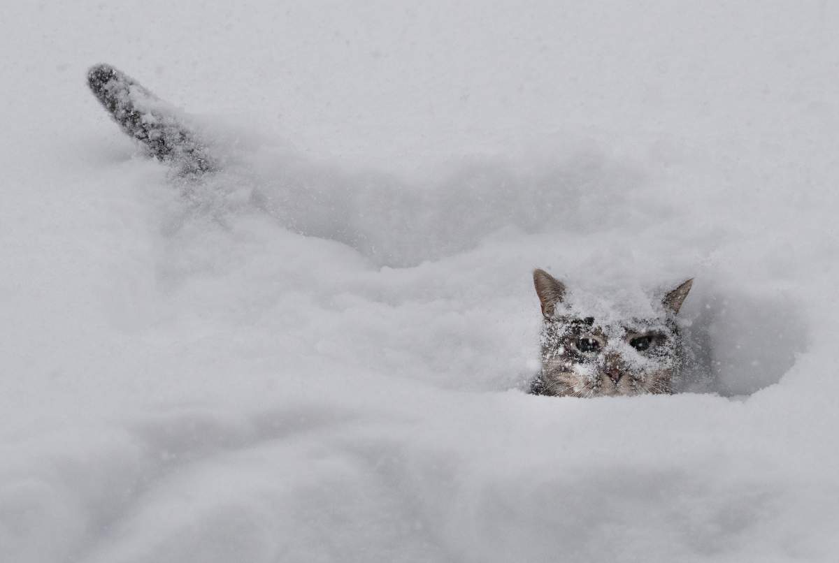 Canada Winter Storm