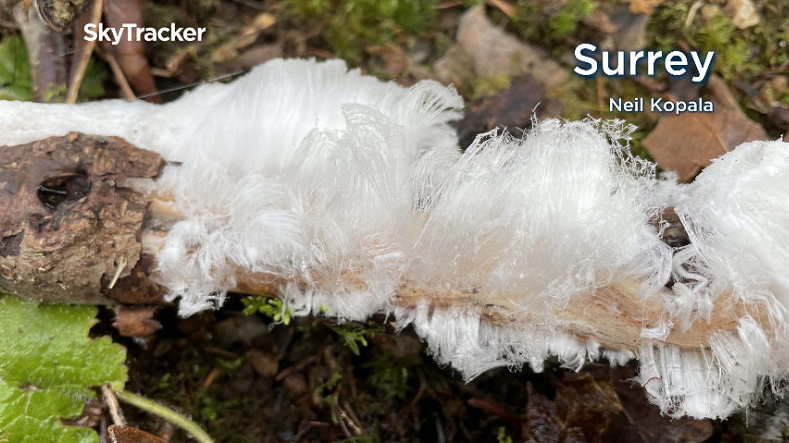 Frost Flower