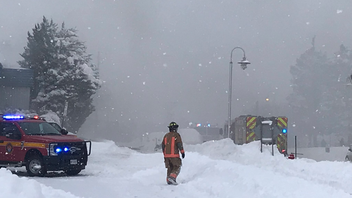 Hamilton Fire Brewer's Marine