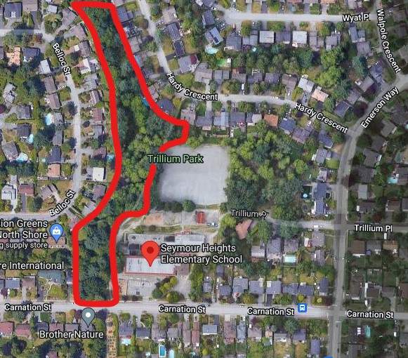 Police issue warning after girl groped in North Vancouver park - image
