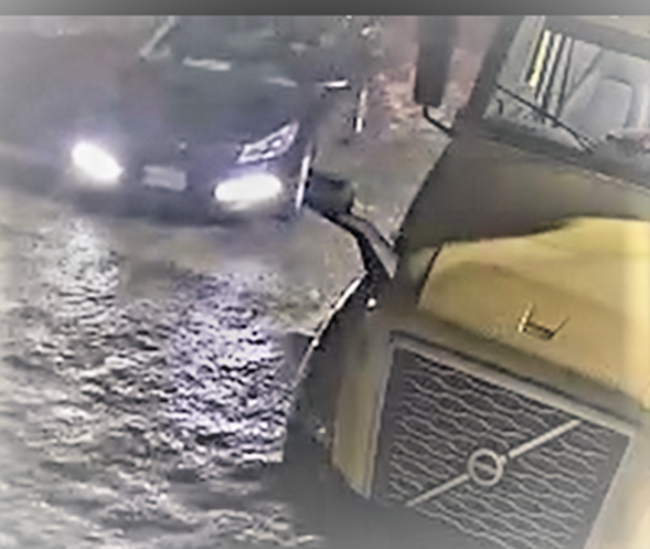 Peterborough police say a trailer and firearms were recovered in Peel region.