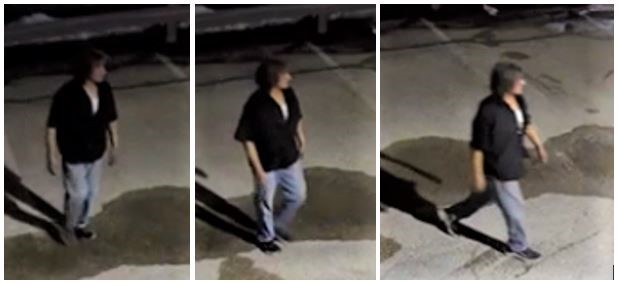 Winnipeg police are looking to identify two people who may have witnessed a fatal crash in April.