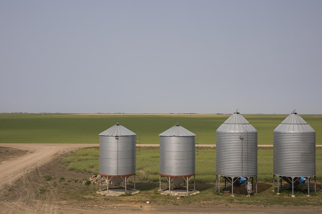 Saskatchewan producers were hit with rain and wind over the last week, delaying spraying for many. 