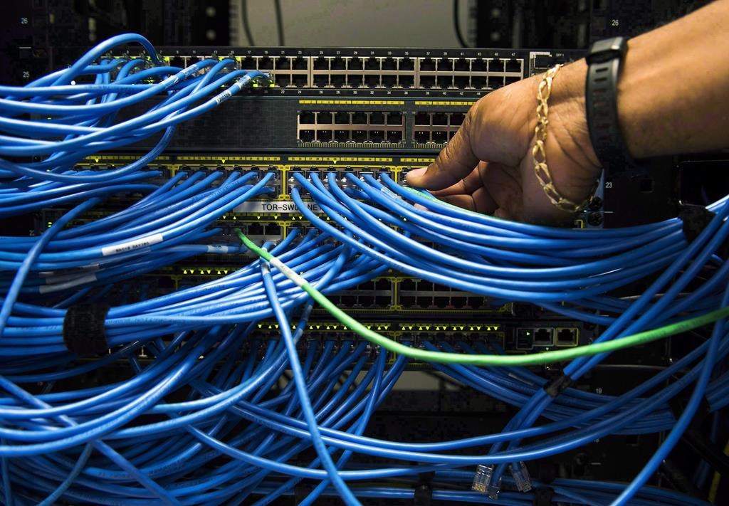 Networking cables in a server bay.