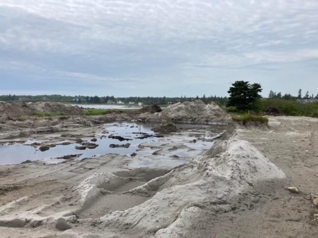 Residents near the beach are concerned with the impacts of the development on the environment and wildlife.