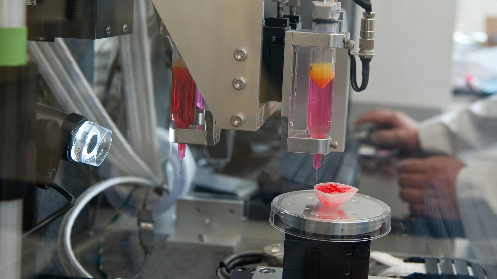 One of the state-of-the-art ‘bioprinters’ at the Wake Forest Institute for Regenerative Medicine creates a solid 3D scaffold in the shape of a human kidney.