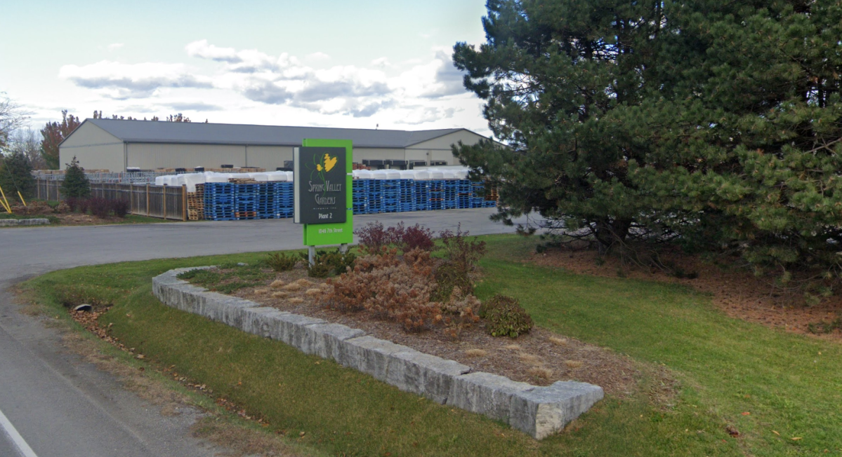 A flower wholesaler says a 36-year-old migrant worker was struck and killed by a vehicle near St. Catharines while walking with friends on Seventh Street Louth June 13, 2022.
