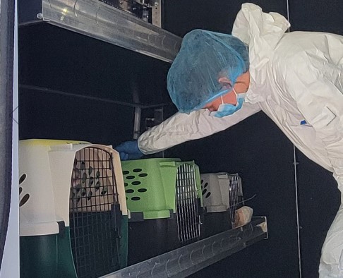 The BCSPCA said the entryway and hallway to the bedrooms were covered in layers of feces and the entire trailer was very hot and filled with an overwhelming ammonia smell due to the build-up of urine
