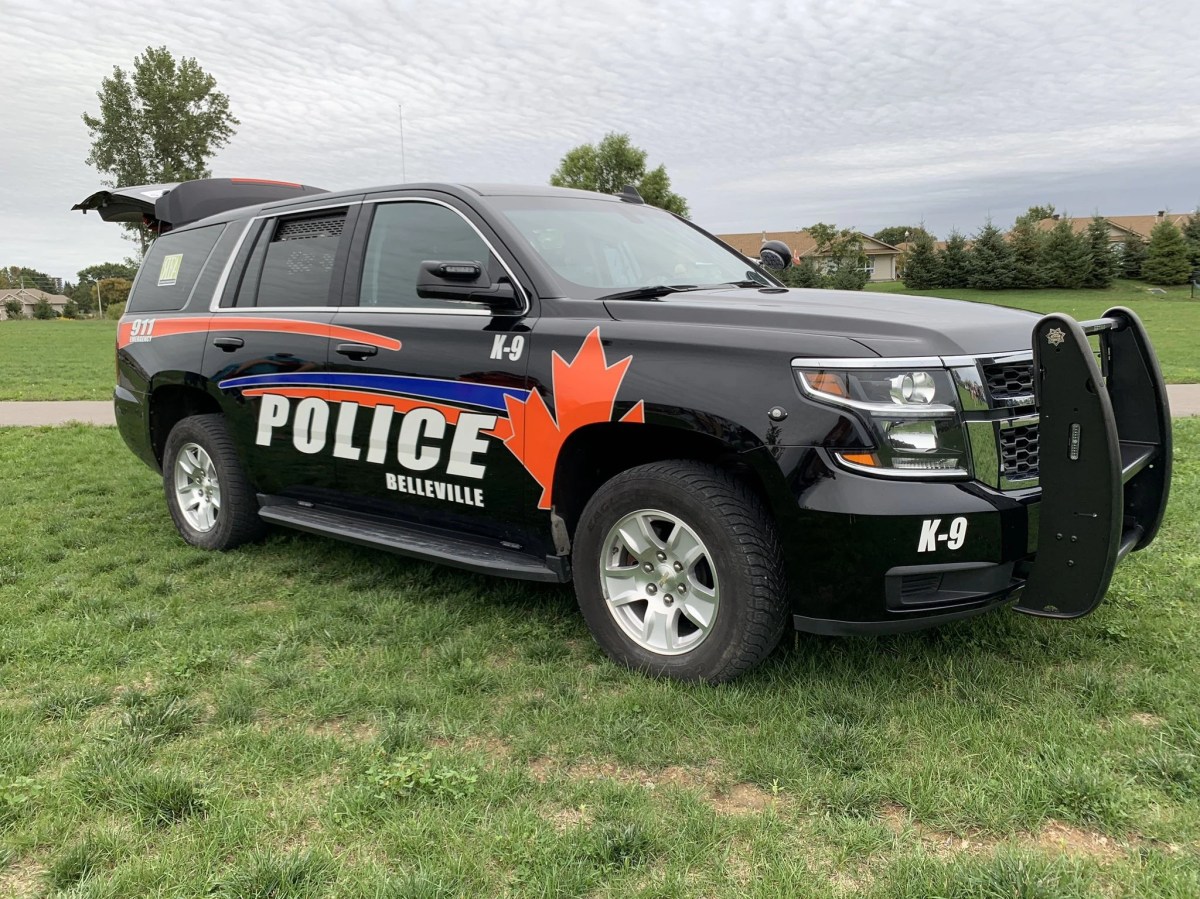 Belleville police are investigating an armed robbery at a credit union Saturday.