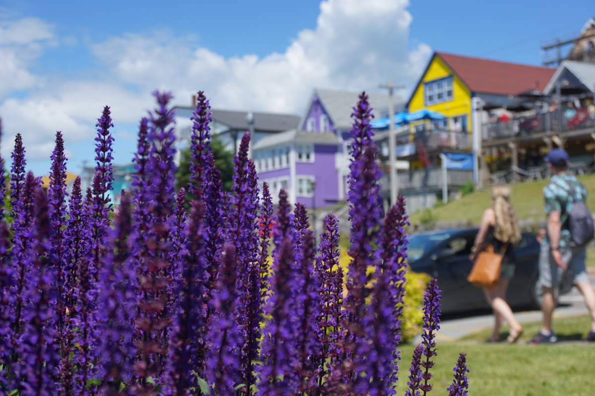 Lunenburg downtown