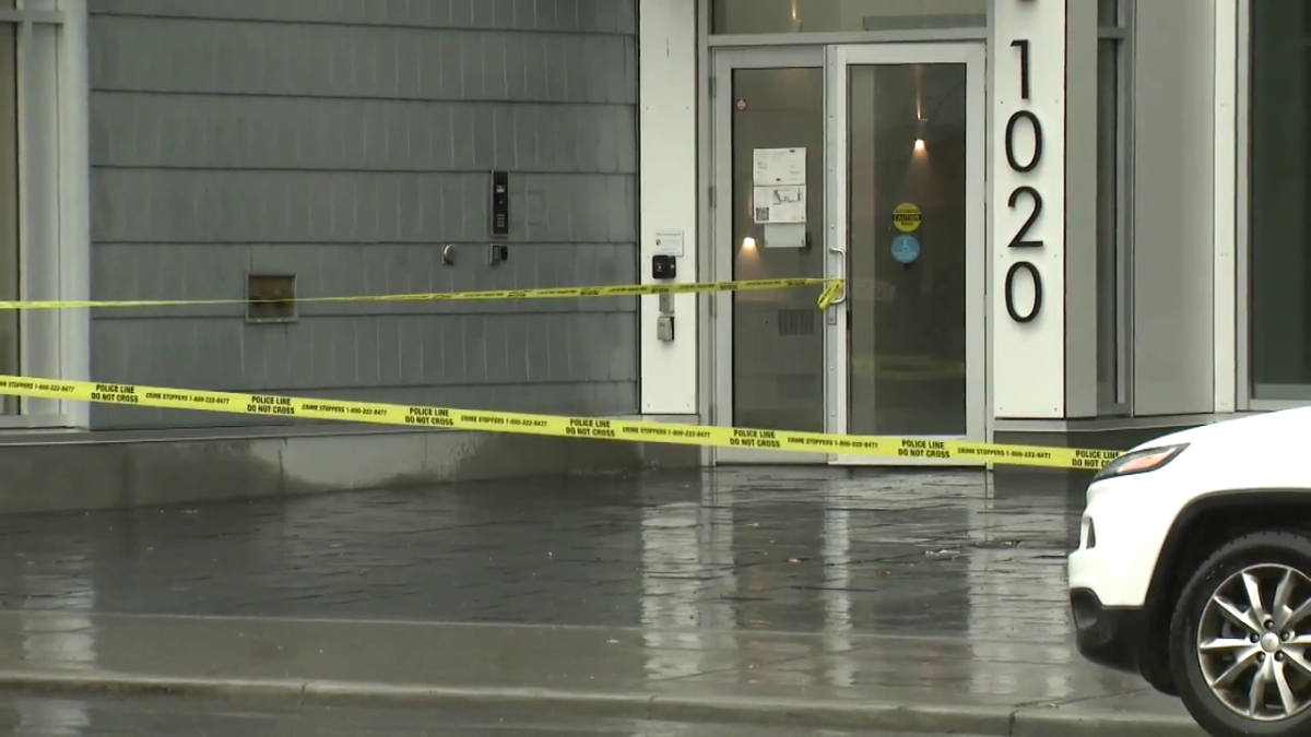 Police investigate fatal assault in southeast Calgary - image