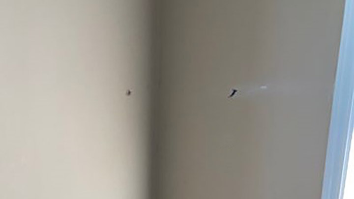 A photo of a metal shard from the explosion that embedded in the wall of a nearby house.