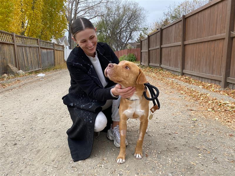 Luca, will be available for adoption as soon as his stitches are removed and he is medically cleared.