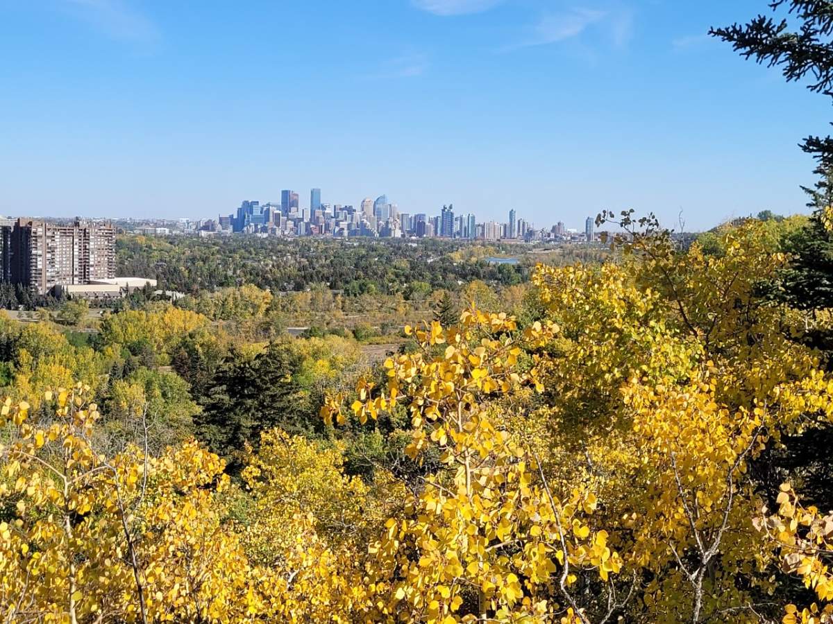 Edworthy Park