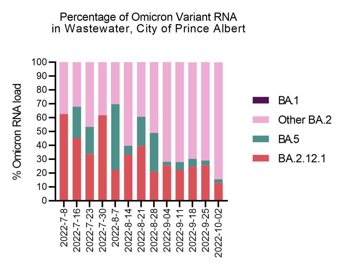Percentage of Omicron variant RNA found in the wastewater in Prince Albert.