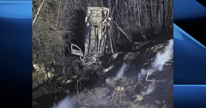 A pickup truck, which OPP say was stolen, reportedly crashed into the trees, landed at the bottom of a ditch and started a fire.