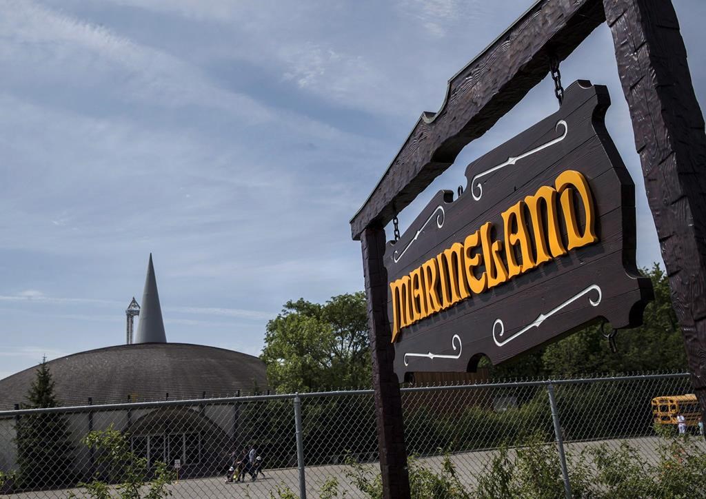 Marineland is shown in Niagara Falls, Ont., Monday, August 14, 2017.