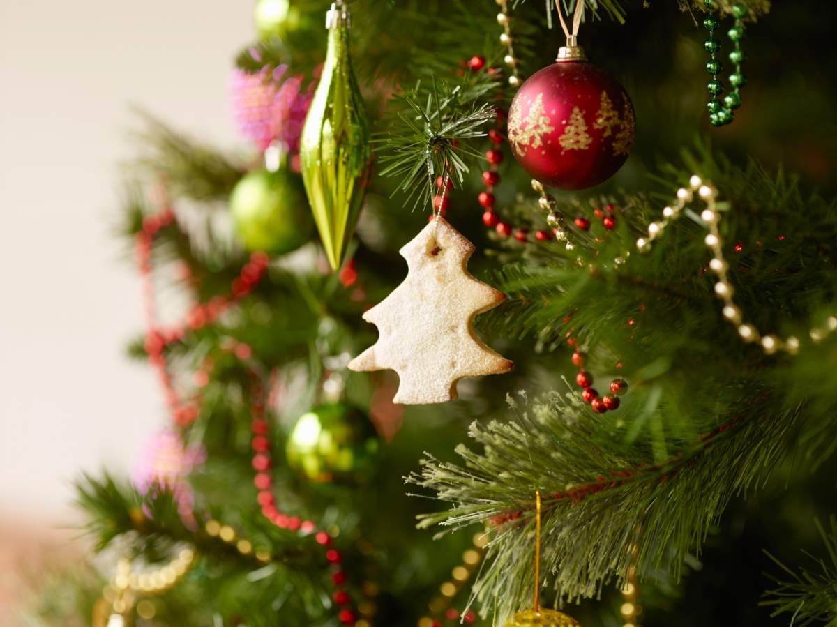Photo of Christmas Tree