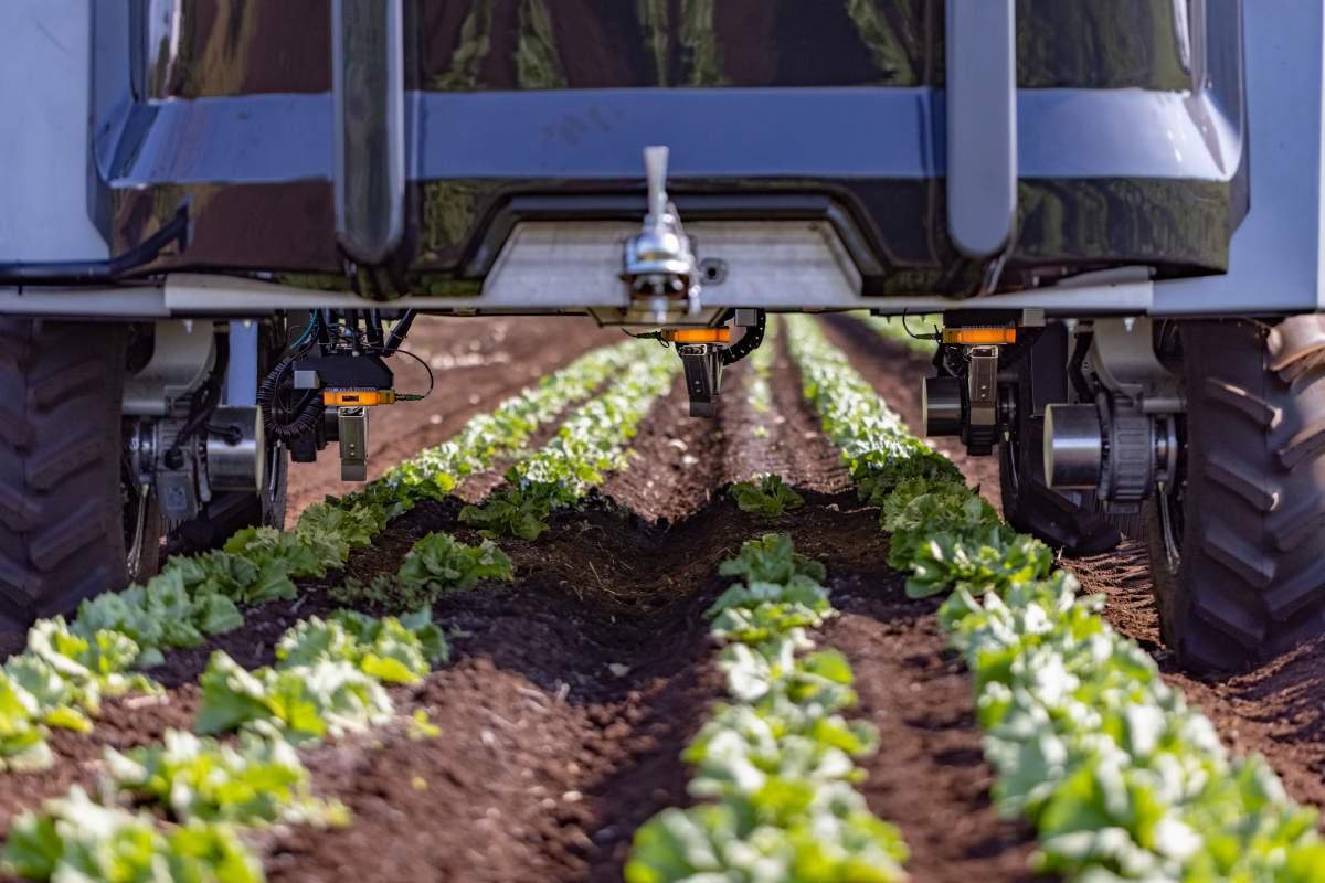 robot picking weeds