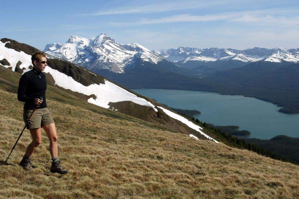 A hiker takes in the snow covered mountains surrounding Maligne Lake in Jasper National Park on June 22, 2002. Environmental groups are welcoming Parks Canada's buyout of two businesses in Jasper National Park's Tonquin Valley, a scenic destination also used by vanishing caribou herds. 