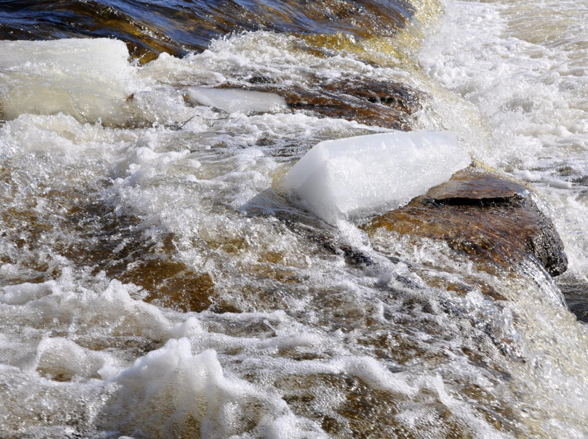 A flood outlook statement has been issued from the Crowe River watershed in central Ontario.