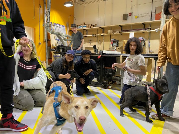 Woodworking students at Forest Lawn High School enjoy a visit with dogs from Fur-Ever Homes Rescue.