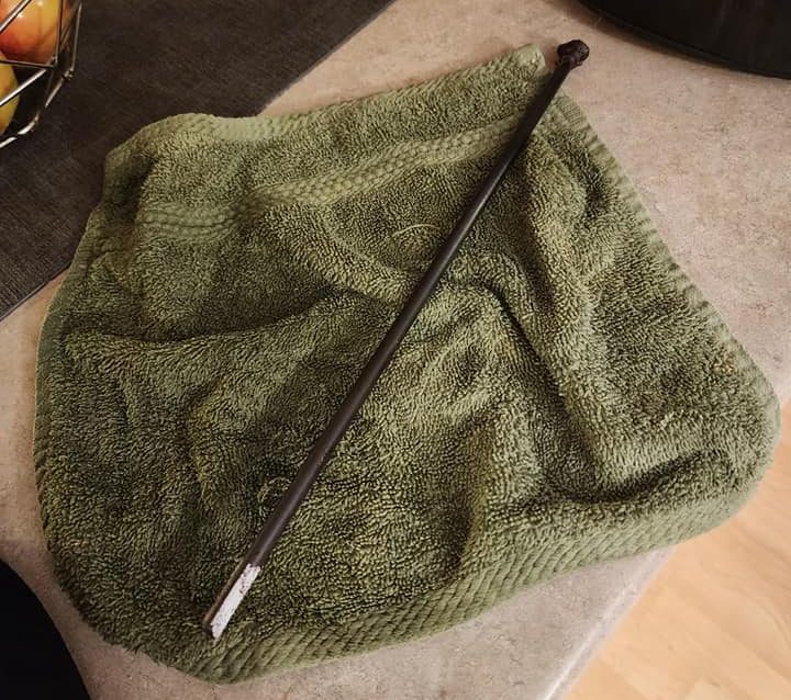 The arrow removed from Milo, a cat owned by a north Edmonton family.