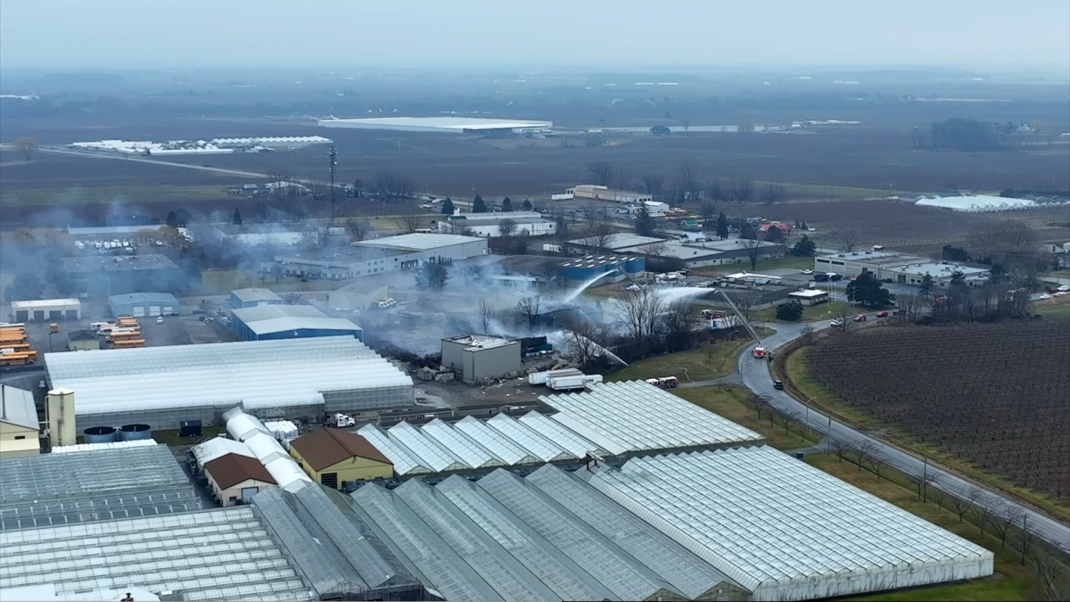 Firefighters battle industrial blaze in St. Catharines, nearby homes and businesses evacuated - image