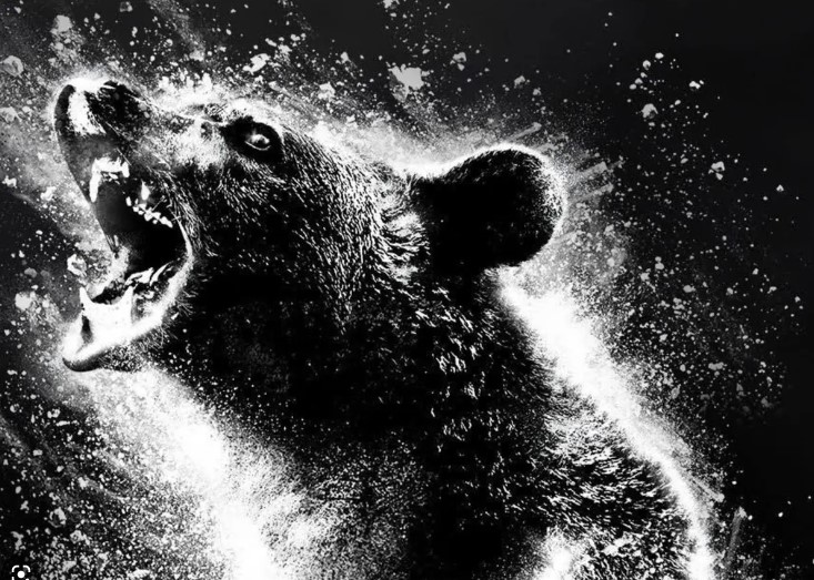 The poster for 'Cocaine Bear.'