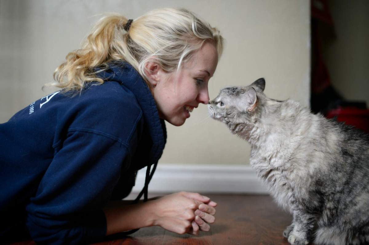 BC SPCA sees an increase in the province's need for its services in 2022.