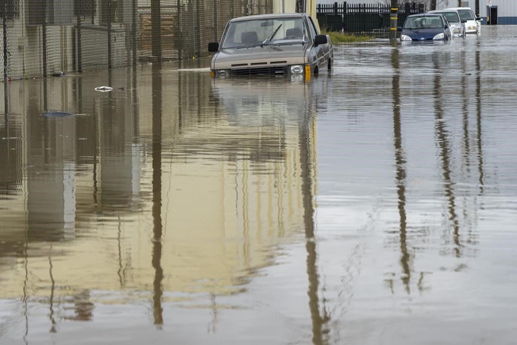 Cars are partially submerged in floodwaters in Watsonville, Calif., Saturday, March 11, 2023.